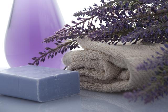 -lavender-3066531_640 (72)